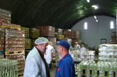Interchamp konzerv lengyel conserve canning