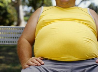 testsúly gomba kísérlet elhízás