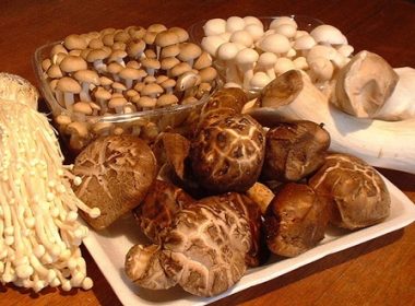 asian exotic mushrooms enoki shiitake king oyster nameko egzotikus gomba ördögszekér laskagomba
