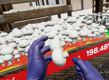 Costa mushroom picking training by VR gombaszedők