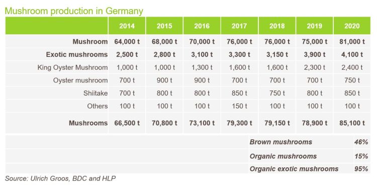 Mushroom production Germany