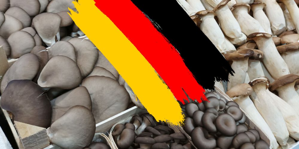germany mushroom production statistics német gombaipar