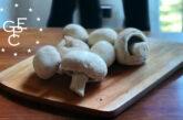 GEPC mushroom gomba campain kampány europa