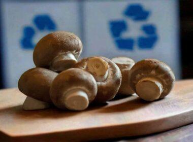 mushroom compost recycling program waste hulladék
