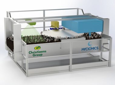 automated solution for mushroom harvesting christiaens gomba szedés automatizált