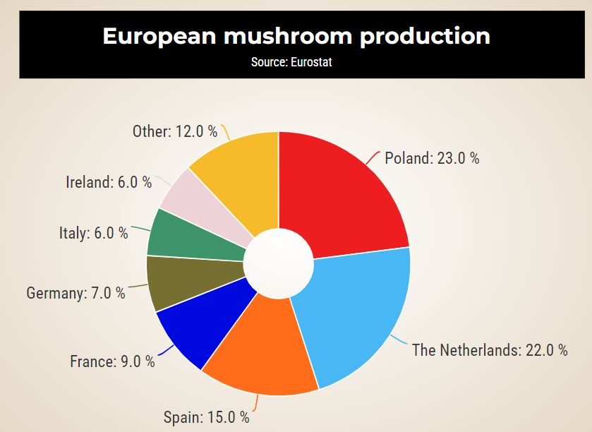 dutch european mushroom production poland