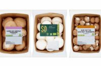 sainsburys cardboard mushroom tray change gomba tálca papír carton